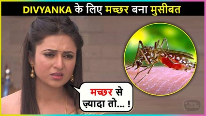 Divyanka Tripathi की Life में मच्छर ने मचाया हंगामा, हो गयीं Troll / A mosquito created a ruckus in Divyanka Tripathi's life