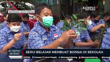 Seru! Belajar Membuat Bonsai di Sekolah