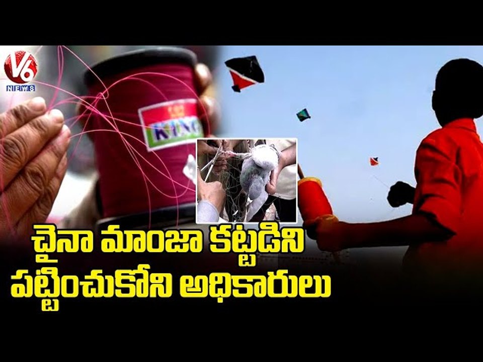 పక్షుల ప్రాణాలు తీస్తోన్న చైనా మాంజా.. Special Report On Chinese Manja _ V6 News