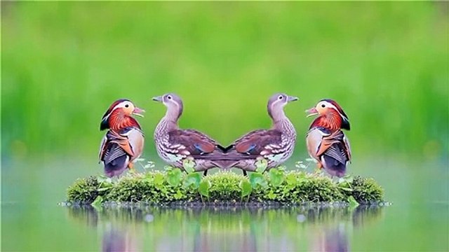 EN RAASAVIN MANASILE BGM/ISAIGNANI MAESTRO ILAYARAJA BGM RINGTONES