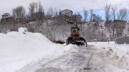 Muş'ta kar yağışı nedeniyle 109 köy yolu ulaşıma kapandı