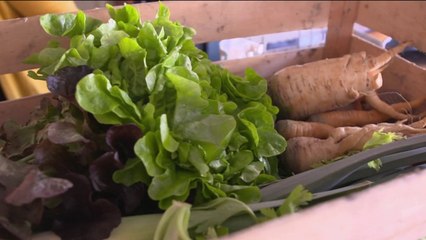 Tendance - Un restaurant pour quatre restos