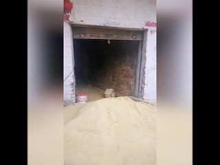 من داخل مطعم الجملي هو أملي.. الطوخي راجع بشكل جديد بنفس الأسعار