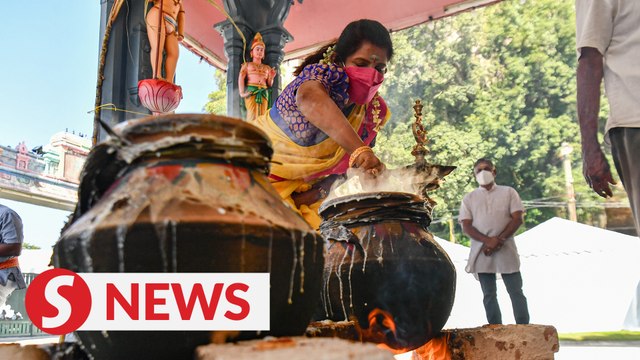 Pots full of sweet hope as Tamils celebrate Ponggal