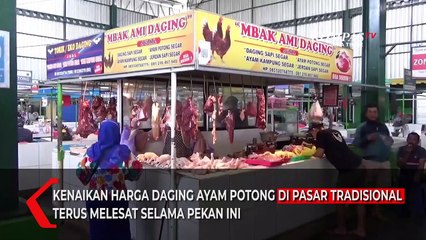 Harga Daging Ayam Tiba-Tiba Mahal, Ini Alasannya