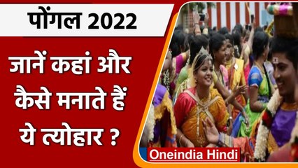 Télécharger la video: Pongal 2022: पोंगल का त्योहार आज, जानें कहां और कैसे मनाया जाता है ये त्योहार ? | वनइंडिया हिंदी