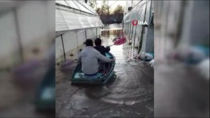 Üreticiler, sular altında kalan seraları için kürek çekti