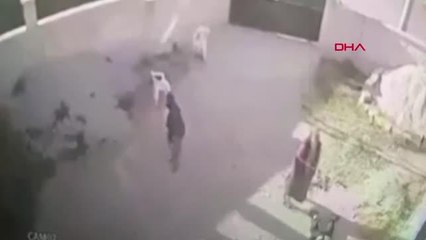 7 KİŞİNİN ÖLDÜRÜLDÜĞÜ OLAY ÖNCESİ YAŞANAN KAVGANIN DAVASINDA ARBEDE ÇIKTI