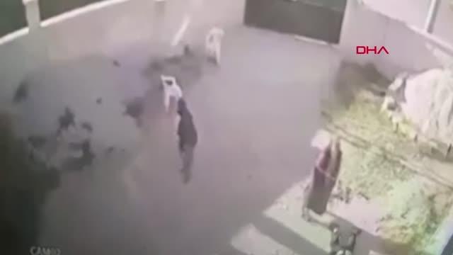 7 KİŞİNİN ÖLDÜRÜLDÜĞÜ OLAY ÖNCESİ YAŞANAN KAVGANIN DAVASINDA ARBEDE ÇIKTI