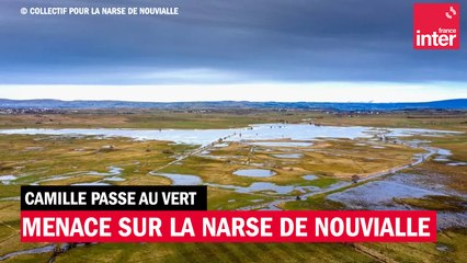 Cantal : crainte qu'une zone humide ne soit bientôt transformée en carrière