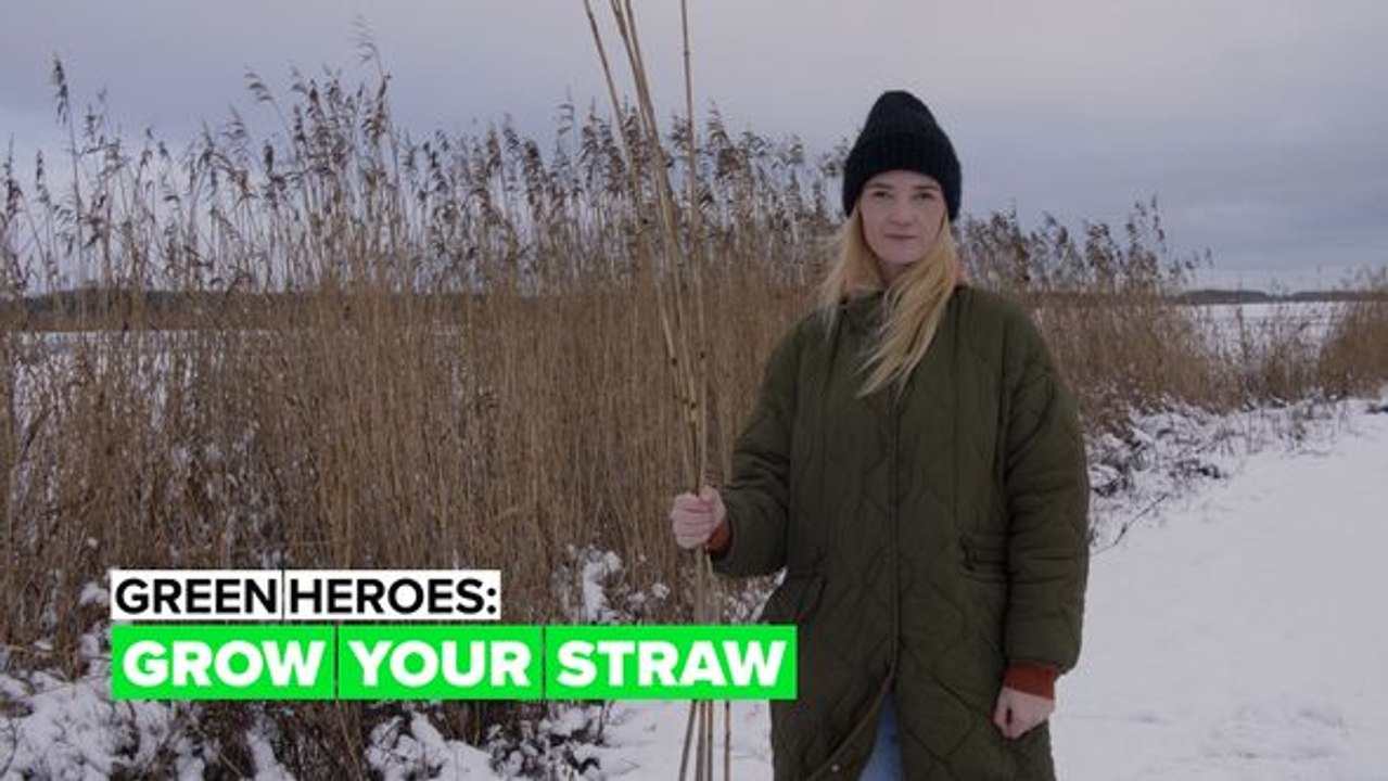 Green Heroes: From reed to straw