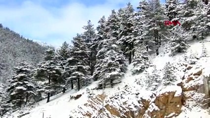 Doğu Karadeniz karlar altında! Yüzlerce köy yolu ulaşıma kapandı