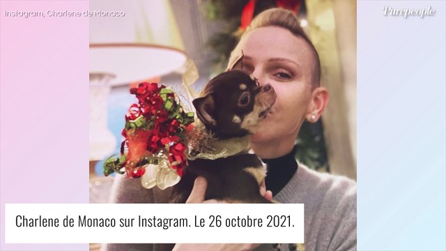 Charlene de Monaco isolée en Suisse : visite secrète de son époux Albert