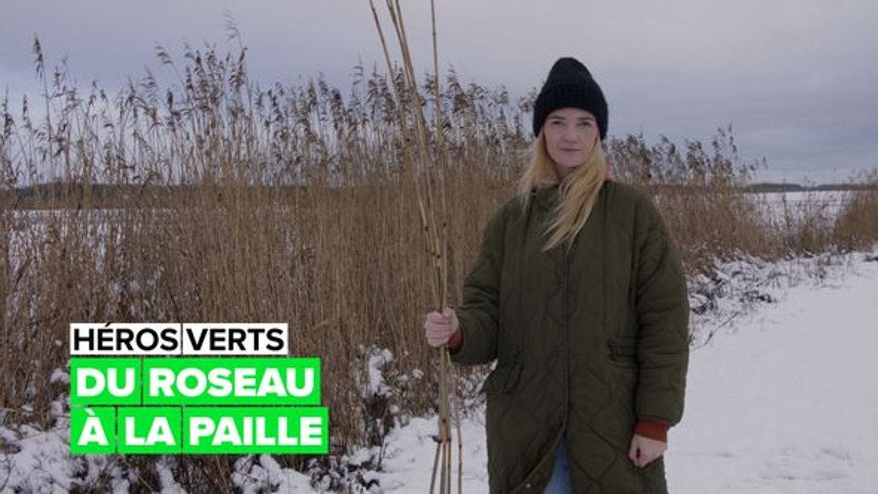 Héros verts : du roseau à la paille