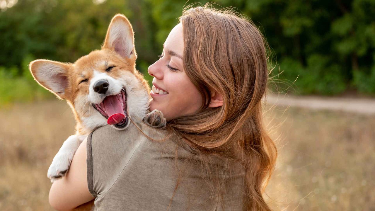 Traummotiv Hund: So deutet ihr euren Traum richtig