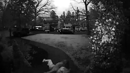''A lovely start to a Wednesday morning' Girl slips on black ice after exiting her house '