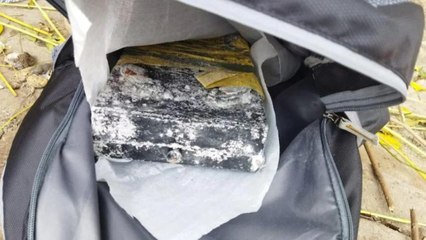 Suspicious bag found at Delhi's Ghazipur