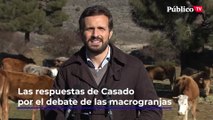 Las respuestas incómodas de Casado cuando le preguntan por la prohibición de algunos ayuntamientos del PP de las macrogranjas