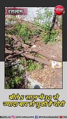 रतलाम : रेलवे कॉलोनी में चंदन के पेड़ चोरी