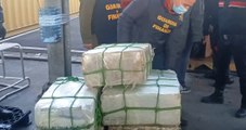 LaSpezia - Oltre 400 chili di cocaina sequestrati al porto (14.01.22)