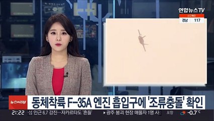 동체착륙 F-35A 엔진 흡입구에 '조류충돌' 확인
