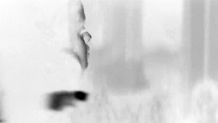 Selena Gomez - The Heart Wants What It Wants in G Major