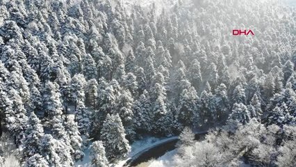 KARLA KAPLI BOLU ORMANLARI HAVADAN GÖRÜNTÜLENDİ