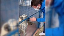 Oyuncu Kıvanç Tatlıtuğ, Bodrum Belediyesi Hayvan Rehabilitasyon Merkezini ziyaret etti