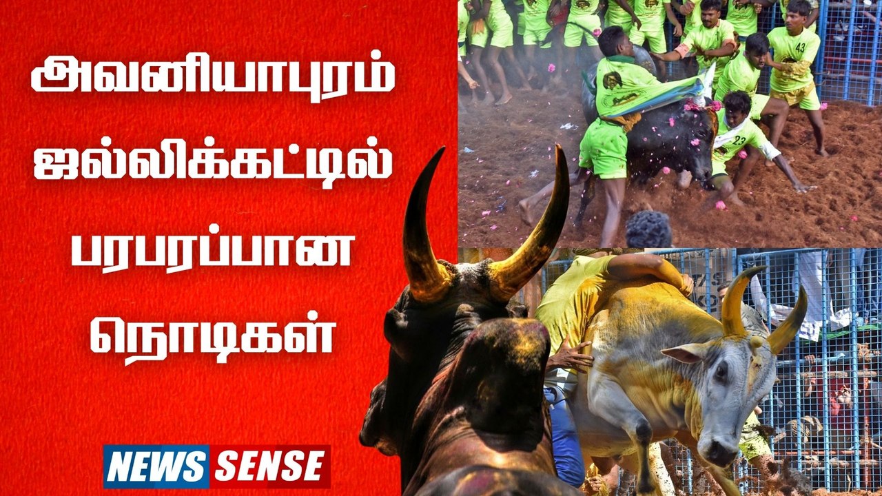 அவனியாபுரம் ஜல்லிக்கட்டு போட்டியில் நடந்த பரபரப்பான சம்பவங்களின் தொகுப்பு | Madurai | Newssense
