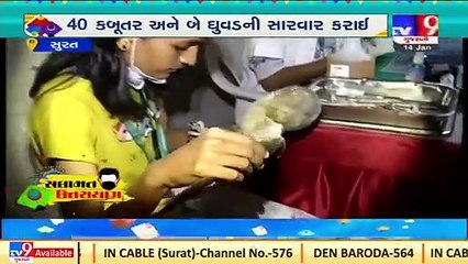 Camp set to help injured birds during kite festival in Surat _Gujarat _Tv9GujaratiNews