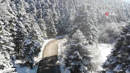 Bolu'nun karla kaplı ormanları böyle görüntülendi