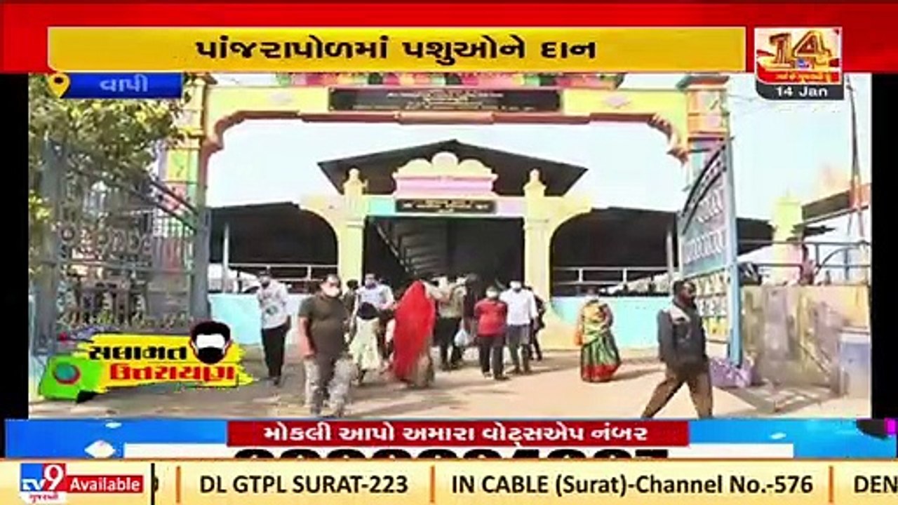 Low-key celebration of Uttarayan in Vapi _Gujarat _Tv9GujaratiNews