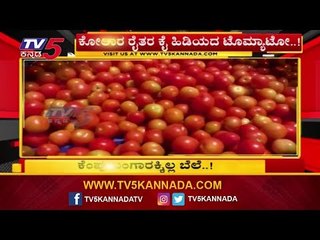 ಕೆಂಪು ಬಂಗಾರಕ್ಕಿಲ್ಲ ಬೆಲೆ | Kolar | TV5 Kannada