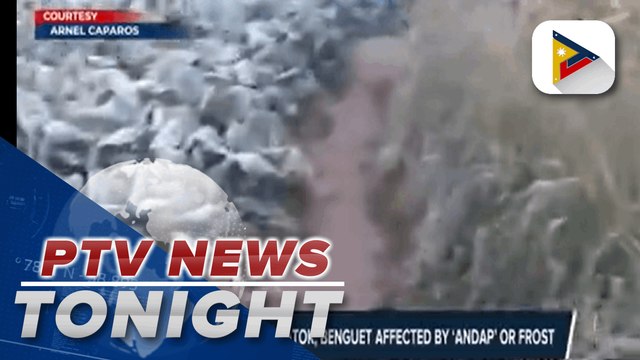 Vegetable harvest in Atok, Benguet affected by 'andap' or frost