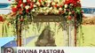Lara | La Divina Pastora inició recorrido en las calles de Barquisimeto