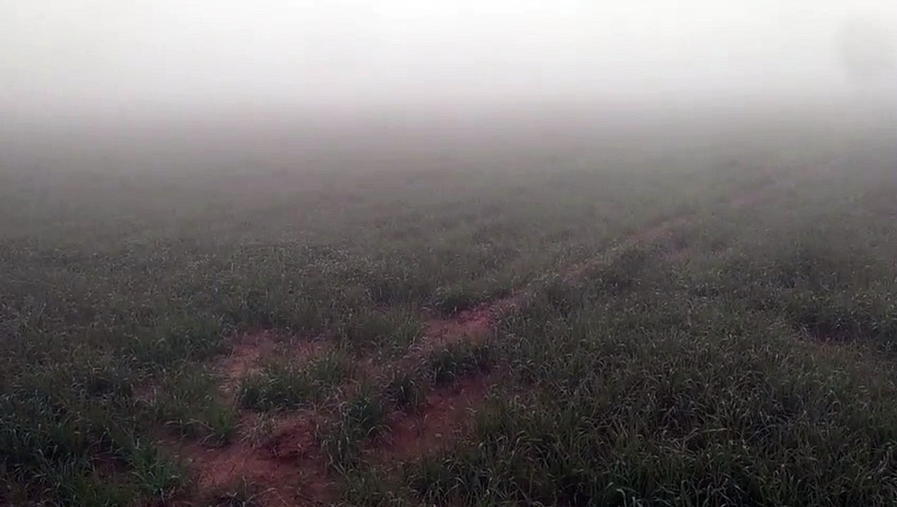 Weather Forecast-  13 जिलों में कोल्ड डे और कोल...