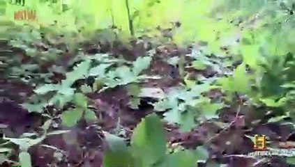 Appalachian Outlaws S01 E01 Dirty Money