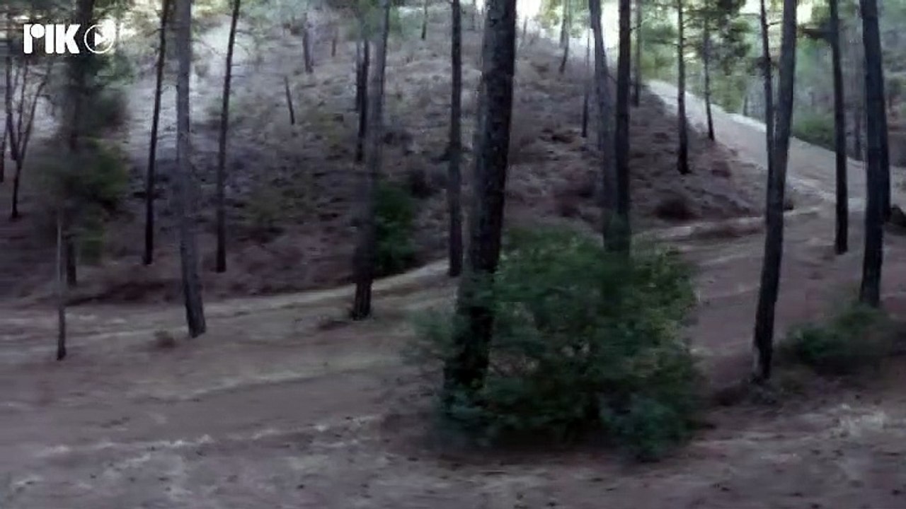 Το Μυστικό της Πεταλούδας Σ2 Επ16