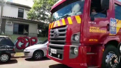 Bombeiros realizam corte de árvore no Sanga Funda