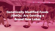 Genetically Modified Foods (GMOs) Are Getting a Brand New Label
