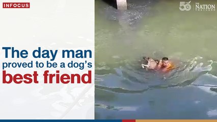Drama in Sathorn: The day man proved to be a dog’s best friend | The Nation Thailand