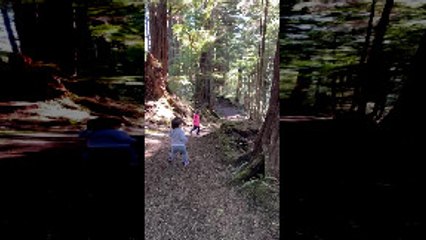 Trail Humbles Independent Toddler with a Tumble