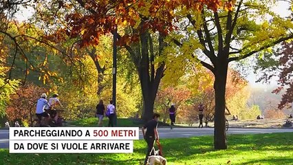 Dimagrire dopo le feste: i consigli per riuscirci senza (troppi) sforzi