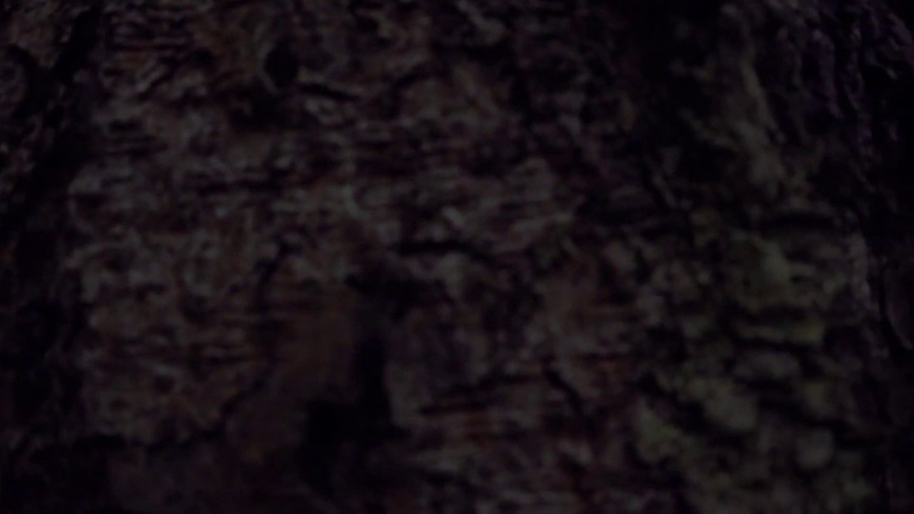 Cinematic alam