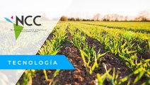 Agricultores andaluces idean nuevas formas de restaurar la fertilidad del suelo