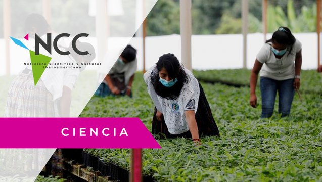 El cambio climático obliga a agricultores guatemaltecos a migrar