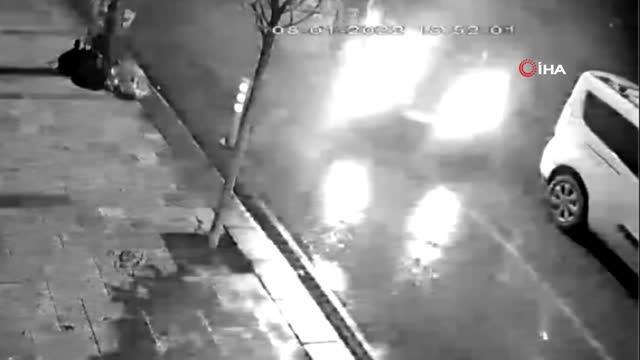 Rahatını düşünen hırsız, dükkanın önüne kadar yanaştırdığı aracına fidanları yükleyip gitti