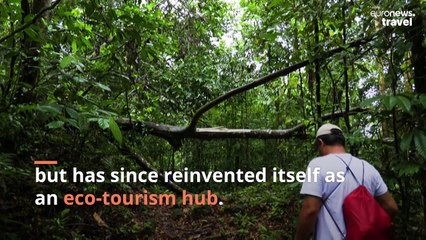 Gorgona: The prison island with tropical rainforests and a harrowing past