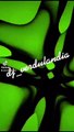 #djverdulandia #verdulandiabrunello1 #brunellolucaufficiale #2022verdulandia #lucabrunellotreviso #3dverdulandia #remix #mashup #musica