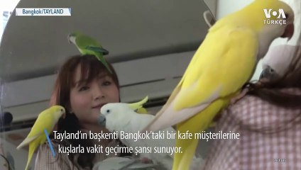 Kuş Sesleri Arasında Kahve Keyfi